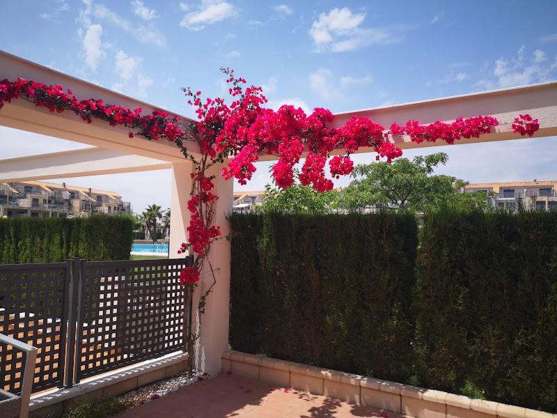Appartement Tout Confort, Rez-De Chaussee,3 Chambres, 2 Salles De Bain San Jorge  Exterior foto